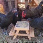 chicknic table 2